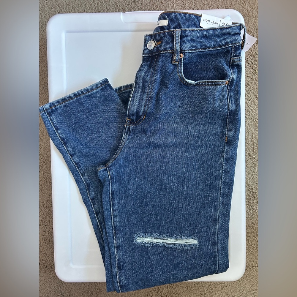 NWT PacSun Shamin Mom Jean